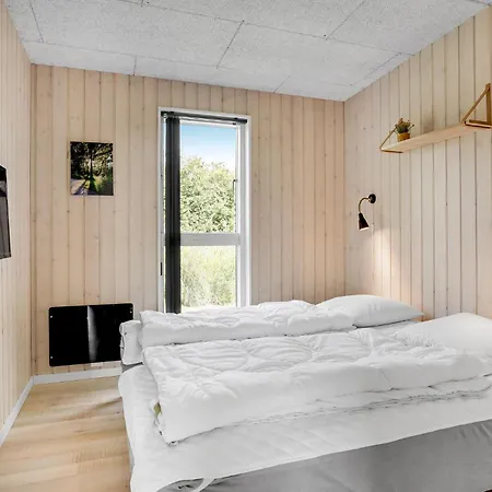 Haderslev With Fireplace 09 *